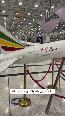 #اديس_ابابا🇪🇹🇸🇦🇪🇹 #اكسبلورexplore #يستاهل_الترند🤙❤️ #روعه____جميل🌹_ذوق_🌹تصميمي🎼 