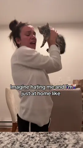 #abba #kitten #mammamia 