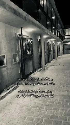 #خيل#تصويري 