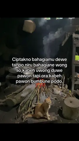 Hla enggeh#berandamu #foryoupageofficiall #jowopride #blitar24jam 