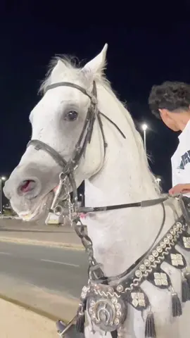 انا والبطل فزاع 🤎🤎 #عزام_القرشي #خيل_وخياله🐎 #ما_شاء_الله 