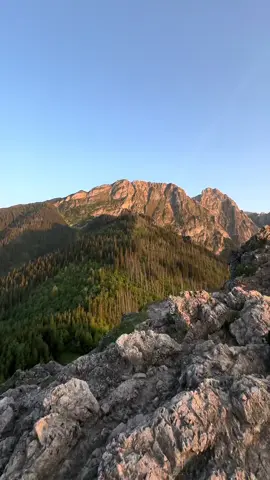 До конца… 🤯#успех #мотивация #деньги 