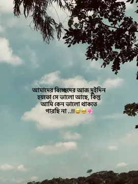 আমাদের বিচ্ছেদের আজ দুইদিন হয়তো সে ভালো আছে, কিন্তু আমি কেন ভালো থাকতে  পারছি না ..!!😅🥺🌸#foryoupage #tiktokviral #pyp #trending #status #vairalvideo #trend #@TikTok 