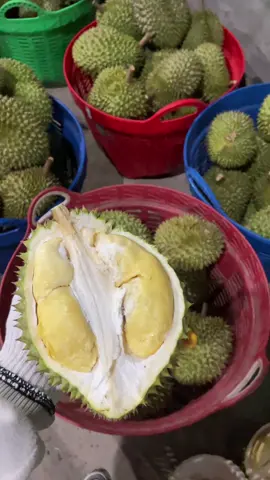 Ai lấy hàng chín cây hong nè