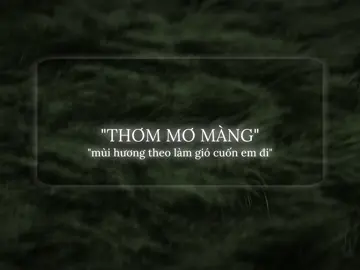 “thơm mơ màng mùi hương theo làn gió cuốn em đi” #nguytoan #xh #nhachaymoingay 