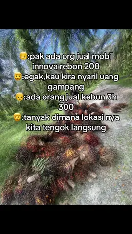 haduh😭#fyp#lewatberanda#riau 