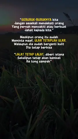 #CapCut #muhasabahdiri #renungan #renungan hidup paling menyentuh hati #quotes #motifasikehidupan #motivation #katakatabijak #fypシ゚viral🖤tiktok 