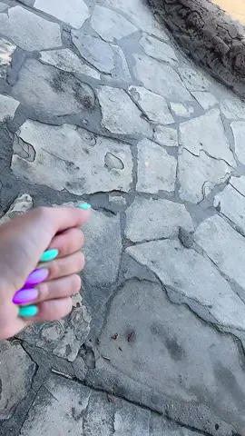 #anılar 