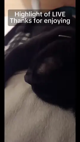 Highlight of LIVE
Thanks for enjoying #tiktoklive #livehighlights