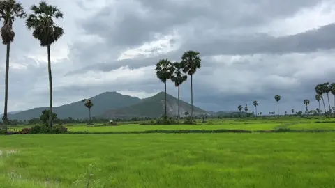 #ខ្ទមស្រែ #ស្រុកស្រែ #កូនអ្នកកំពង់ស្ពឺ #nature #countryside #ស្រុកស្រែជនបទ 