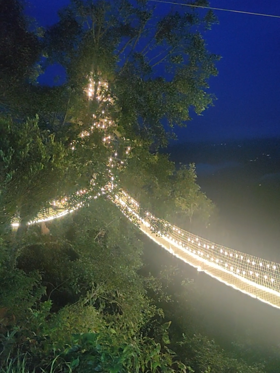 Y que tal si nos vamos al puente iluminado..... De lo más bonito de Oaxaca #oaxacalotienetodo #fypage #fyp #Guelaguetza2025 #parati #oaxacamexico #oaxaca #noticias #fypage #Viral #tiktok #viaje #mezcal #adrenalina #bosque  @Vive México @tiktokseguidores @oaxacatravel 