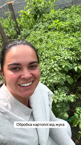 #картопля #город #сад 