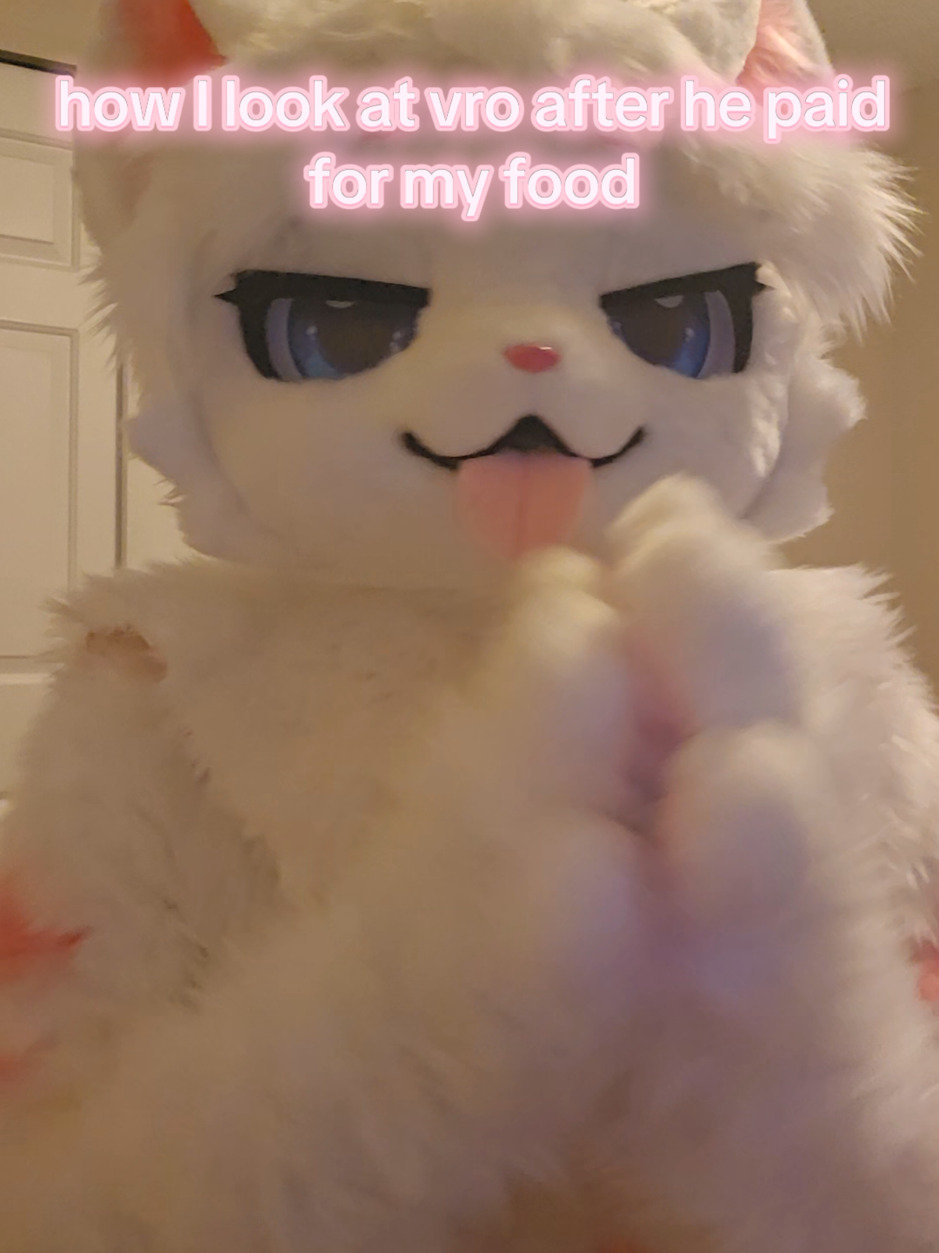 vro that was a whole $9 😩 #fyp #gay #femboy #kemono #furrybeans #furryfandom #fursuiting #fursuit 