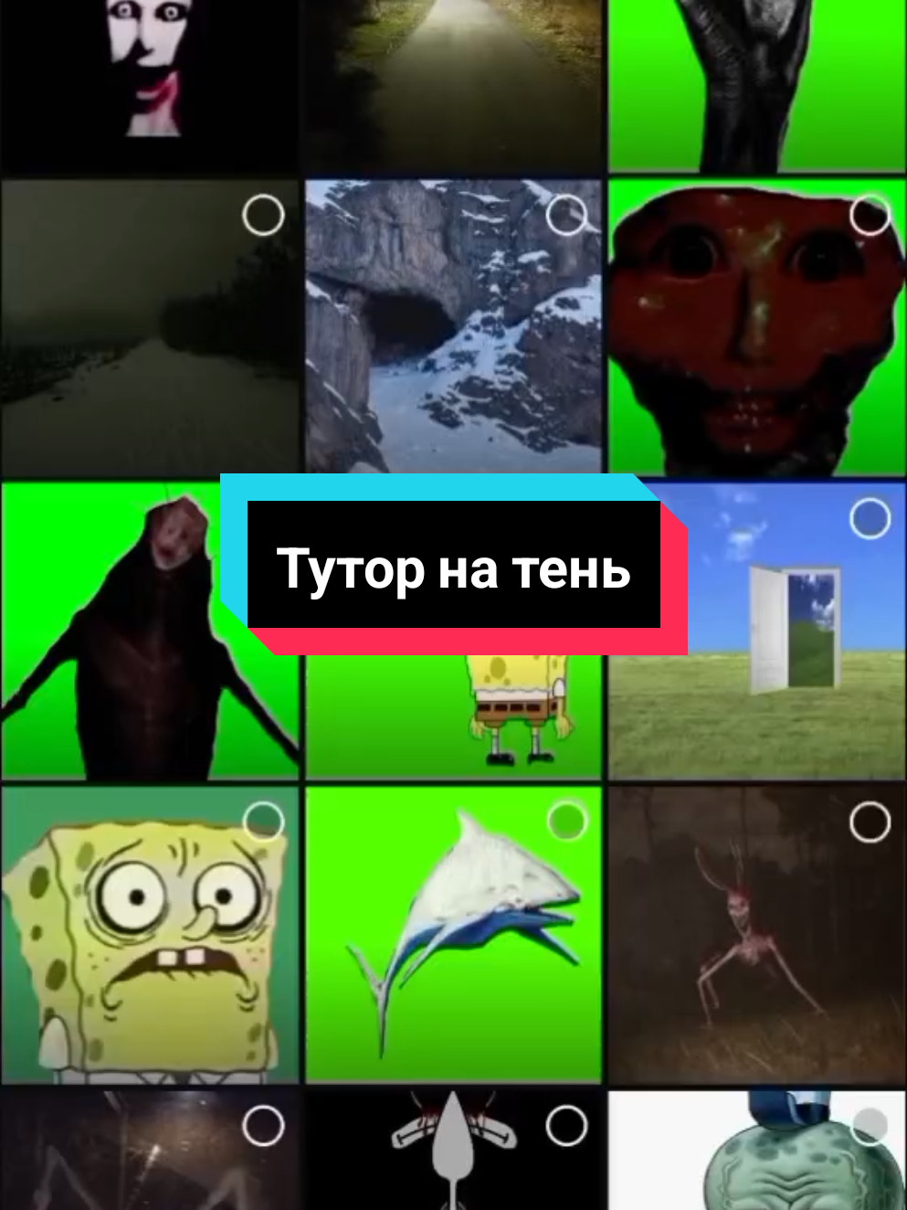 #spogebob #шишкапостинг #real #fyp #губкабобшизо #губкабоб 