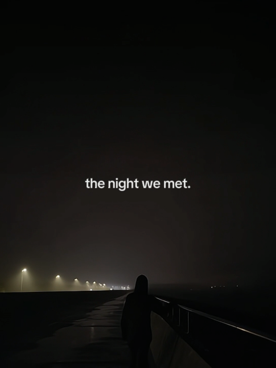 oh, take me back. #lordhuron #thenightwemet #lyrics #musicvibes #foryou #fyp 