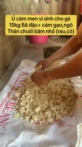 TÁC DỤNG MEN VI SINH CHO VẬT NUÔI. 1-Cải thiện tiêu hoá và hấp thu dinh dưỡng tốt . 2-Tăng cường sức đề kháng cho vât nuôi. Ko mắc các bệnh bề tiêu hoá. 3-Giảm mùi hôi do phân trong chuồng trại.  4-Tăng chất lượng thịt. 5-Tiết kiệm chi phí thức ăn,tận dụng nhièu loại thức ăn thừa.  #TuAn93 #channuoi #xhtiktok #yfp 