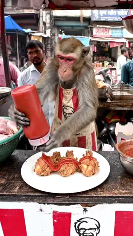 Special dish from monkey chef 🐒🔥 #fyp #viral #new #monkey #kfc #usa #indian 