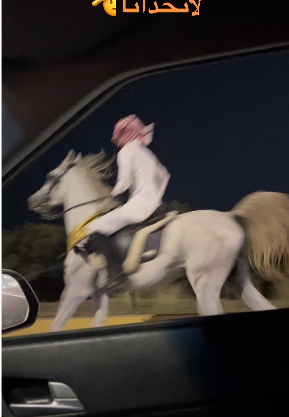 #انا_وشيخ_رعد #لاتحدانا_عند_المزاحم_لاتحدانا😎👌🥰 #اكسبلور #سوريا_تركيا_العراق_السعودية_الكويت #مربط_البندر_للخيول_العربية_الاصيلة #اكسبلور #لايك_متابعه_اكسبلور #مشاهير_تيك_توك #عالم_الخيال #دول_الخليج_العربي #ماشاءالله_تبارك_الله #مشاهداتكم⬆️⬆️⬆️⬆️⬆️⬆️ 