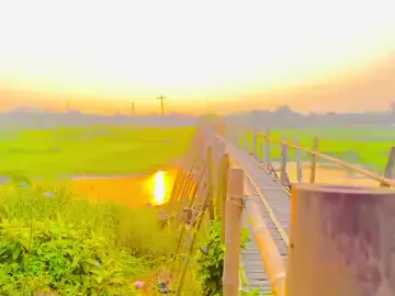 #tiktokcompamy_foryou_please vsiral_video_tiktok #allforyou #allforyou @for you Bangladesh ✅ 