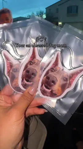 This way to cute!  #obsessed #dogmom #airfreshener #carfreshener 