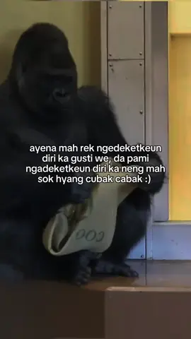sok babarian aa mah 😩 #storysunda #katakatasunda #storygalau #fypシ 