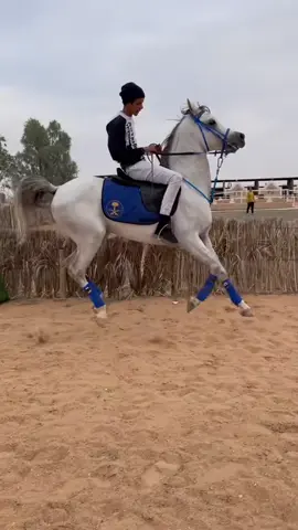 #العقيد#مربط_الجبلين  
