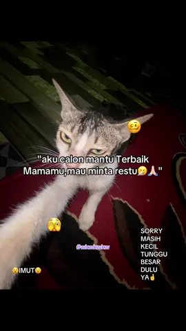 #xzybca #masukberandafyp #lewatberanda #xzybca #4u #fakesituation⚠️ #foryou #trending #katakata #katakata 