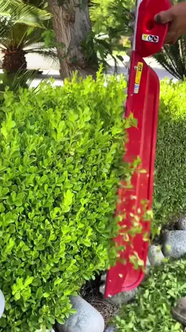 #gardening #garden #cleaning #clean #asmr #fyp 