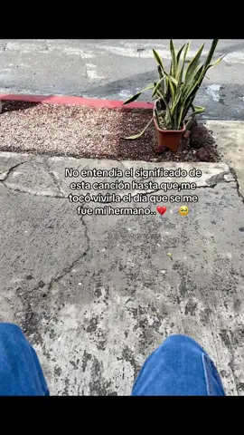 Y finalmente ahí la entendí.🥲🕊️#hermano#paratiiiiii#videoviral 