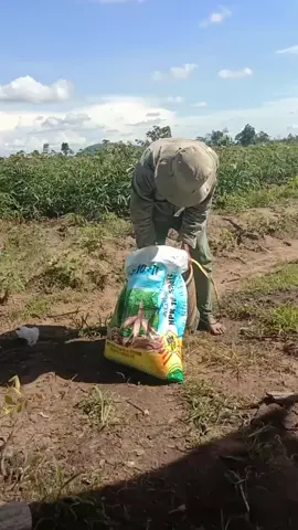 mệt lắm rồi 😔