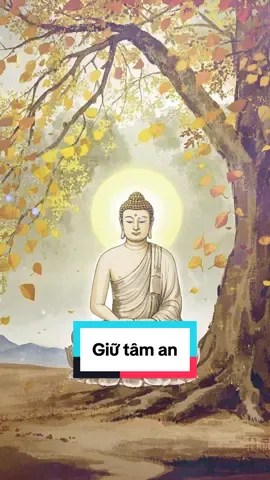 Sống trong gia đình nhiều phiền não - làm sao giữ tâm an? #phatphapvobien #phatphap #chanhniem108 #phatphapnhiemmau 