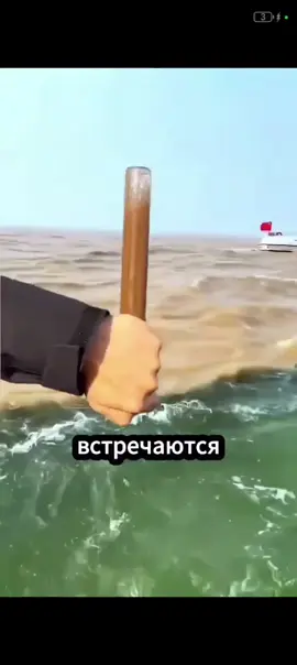 #интересно #интересныефакты #тихийокеан 