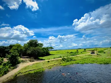 আজকের আকাশ টা অনেক বেশি সুন্দর 💗🍃🌱#weather #view #foryou #viralvideo #প্রাকৃতিক_বাহার #প্রাকৃতিক #viralvideo #প্রাকৃতিক_সুন্দর্য #foryou #viralvideo 