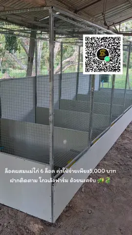 ล็อคผสมไก่แม่พันธุ์ DIY ราคาประหยัด เข้ากลุ่มบ้านเขียวโกวเล้งฟาร์ม สายพันธุ์โกวเซ้ม 💯🐲🐉 #กระแสมาแรง #เปิดการมองเห็น #โกวเซ้มฟาร์ม🐲🐉💯 #โกวเล้งฟาร์ม 