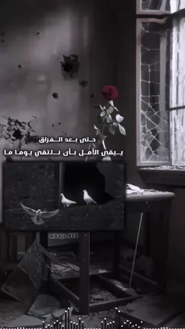 حتى بعد الفراق يبقى الأمل بأن نلتقي يوما ما 🖤🥀 #تصميمي #فيديو_ستار #تصميم_فيديوهات🎶🎤🎬 #حزن #المصمم_مهاجر_ 