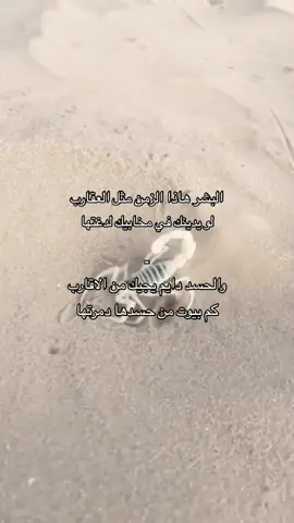 البشر هذا الزمن مثل العقارب #اكسسسسسسسسسسسسسبلوررررررررر #اكسسسسسبلورررررررر #اكسبلور #اكسبلورexplore #اكسبلورر #اكسبلوررررررر #اكسبلور_تيك_توك #اكسبلور؟ #متابعة #متابعه_ولايك_واكسبلور_احبكم #متابعه_ولايك_واكسبلور_فضلا_ليس_امر #متابعة_قلب_تعليق_مشاركة_ #متابعيني_احبكم #مشاهير_تيك_توك #اضافه #اضافات #اضافة #اضافه_لايك_كومنت_اكسبلوووررررر #اضافة_لحسابي #اضافه_بدربك #اضافهہ🤎 #اضافه_لايك_كومنت_اكسبلوووررررر🔥🔥 #ضيفوني #ضيفونيييييييي🙂❤️ #ضيفني_مابتندم #ضيفو #تابعوني_رح_نزل_شي_جديد #تابعوني_فضلا❤ #تابع #تابعونا #تابعني_متخسر_شي_🔴❤️‍ #تابعونيي #تابعوني_احبكم #تابعوني #تفاعل #تفاعلكم #تفاعلكم_يساعدنا_على_الاستمرار💯💯 #تفاعلوا #تفاعلكم_لايك_متابعه_اكسبلوررررراexplore #تفاعلو #تفاعلوا_لايك_فولو_اكسبلوور #لا #لايكات #لايك__explore___ #لايك_متابعه_اكسبلور #لايك_فولو #لايك_متابعه #لايكك #لايكexplore #لايك #لايك❤️ #دعم #دعمكم #دعمكم_ورفعولي_فديو #دعموني #دعمكم_لايك_ومتابعه_واكسبلور_حته_استمر #دعمكم_لي♡ #دعمكم_لكي_استمر😘 #دعمكن #فولو🙏🏻لايك❤️اكسبلور🙏🏻🌹💫 #فولوو #فولومي #فولو؟ #فولووو #فولوا #فولفو #فولوووو #فولو #مال #مالي_خلق_احط_هاشتاقات #مالي_خلق_احط_هاشتاقات🧢 #ما #م #ادعم #ادعموني #ادعموني_عشان_نستمر_وانزلكم_اكتر🥰 #ادعموني_متابعه_ولايك_الاكسبلور #ادعمني #ادعموني_علشان_استمر_معكم #ادعمونا #ادعمو #ادعمونى #ا #الشعب_الصيني_ماله_حل😂😂 #الشعب_الصيني_ماله_حل #ماله #ماله_حل_الشعب_الصيني😂😂 #حسابي_الرسمي_على_التيك_توك #حسابي #حسابي_جديد #حساب #جديد #new_totiktok #جديده #جديده_في_تيك_توك💔🥺 #ح #حركه_الاكسبلور🖤🔥 #حركة_إكسبلور #حركة_الاكسبلوررر #حركه #حركة_اكسبلورر🙏🙏🙏 #هاشتاق #هههههههههههههههههههههههههههههههههههههه #ههههههه #هه #ه #ت #ترند #تصميم_فيديوهات🎶🎤🎬 #تصميم #تصاميم #تصميمي❤️ #تصاميم_فيديوهات🎵🎤🎬 #شعب_الصيني_ماله_حل😂😂 