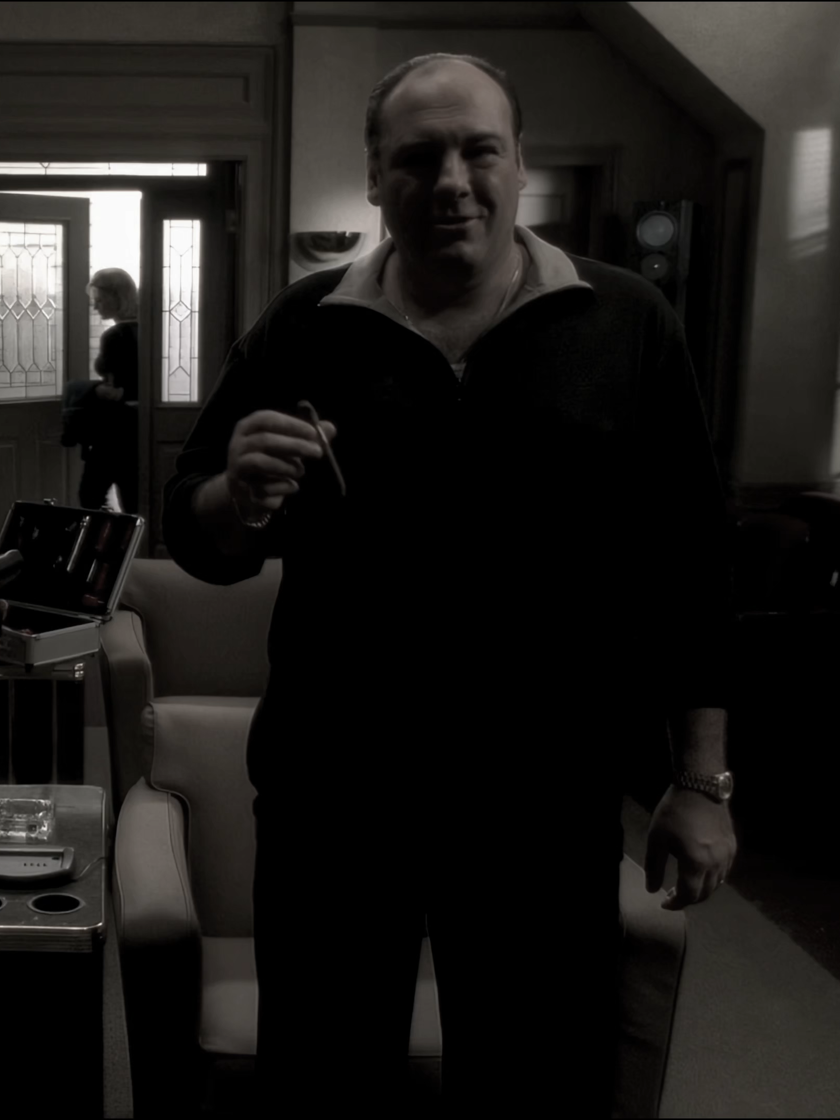 #thesopranos #tonysoprano