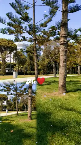 #fypシ゚viralltiktok☆♡🦋myvideo❤️❤️🥰🥰 #foruyou 