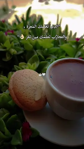 ‏المواقف، والزمن، والناس يعطون دروساً أفضل من الكتب... #تبكي_الطيور #وائل_كفوري #هدوء #فنجان_قهوة #قهوتي #صباح_الخير #رواق #تصويري #تصميمي #عبارات #لايك #متابعة #🥀🖤 
