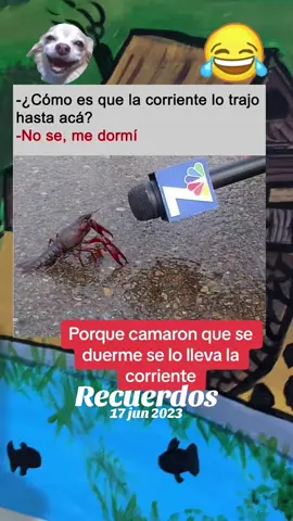 #Recuerdos 