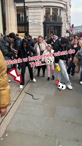 “They didn’t see this coming 😹🙈#funnyvideos😂 #viral_video #prank #funnytiktok 