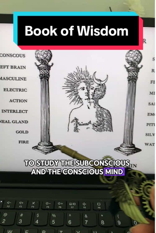 Want a Divine Relationship? Understand This Code First. Sun. Moon. Logic. Emotion. Polarity is the foundation of love.#book #BookTok #bookofwisdom #occult #esoteric #tiktokshop #cozyvibes #spiritualawakening 