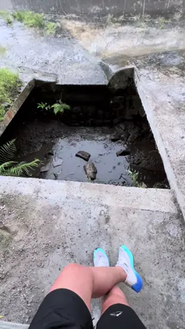 baru mulai lari sudah hujan #mentahanvideo #mentahan #fyppppppppppppppppppppppp #jogging #larisore #pelarikonten #pelaripemula #binsik 