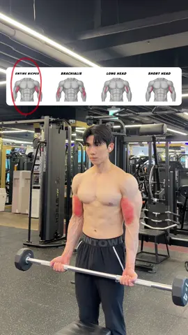 🔽바벨컬 그립 너비별 자극 차이 총정리🔽 🔸Standard vs Reverse vs Close vs Wide🔸 1. 기본 그립 (Standard Grip) - 어깨너비로 바벨을 잡고 수행하며, 이두근 전체(Entire Bicpes)를 고르게 자극해 가장 안정적이고 균형 잡힌 팔 발달에 효과적입니다. 2. 언더그립 바벨컬 (Reverse Grip Curl) - 손바닥이 아래를 향하도록 바벨을 잡고 수행하며, 이두보다는 상완근(Brachialis)과 상완요골근(Brachioradialis) 등 전완과 팔꿈치 주변 근육에 더 강한 자극을 줍니다. 3. 좁은 그립 (Close Grip) - 어깨너비보다 좁게 바벨을 잡아 이두근 장두(Long Head)를 중심으로 자극해 팔 바깥쪽 볼륨을 키우는 데 효과적입니다. 4. 넓은 그립 (Wide Grip) - 어깨너비보다 넓게 바벨을 잡고 수행하며, 이두근 단두(Short Head)에 집중된 자극을 줘 팔 안쪽 두께를 강조할 수 있습니다. #이두운동 #바벨컬 #팔운동 #헬렌이 #GRIPVARIATION #BICEPSCURL #헬스꿀팁 #오운완 #바프준비 #armday #armworkout 