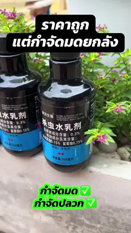 ยังไม่ต้องเชื่อถ้ายังไม่ได้ลอง #กำจัดมด #สเปย์กำจัดมด #กำจัดปลวก #ฟีดดดシ #f #fyppppppppppppppppppppppp 