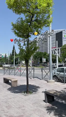 #fry #videoviral #setif #سطيف #musique #explore 