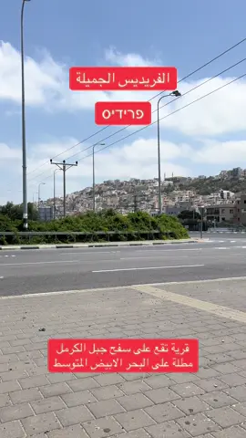 #الفريديس #الفريديس_الشامخه👑🦅 #الفريديس❤️🌷 #جبل_الكرمل #حيفا 