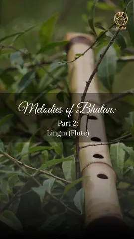 The Lingm is a type of six-holed bamboo flute that actually has two varieties: Dong Lingm which is played in front like a clarinet and Zur Lingm which is played to the side.  The Lingm is indigenous to Bhutan and plays a vital role in Traditional Bhutanese Folk music.  This instrument is known for its gentle, soothing sound evoking a state of calmness and relaxation.  Tag someone who needs a moment of peace today.  • • • • • • #TraditionalFolkMusic #BhutaneseMusic #BhutaneseMusicians #Flute #Lingm #MusicalHeritage #Natural #Soothing #Relaxing #Calm #Melodies #MelodiesOfBhutan #bhutanglobalmindfulnessandmice #bgmm 