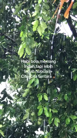 #fyppppppppppppppppppppppp #pelarikonten #casis #tni #polri #binsik #viralvideo #tiktok #lewatberanda #trend #indonesia🇮🇩 #foryoupage #storywhatsapp #galaubrutal 