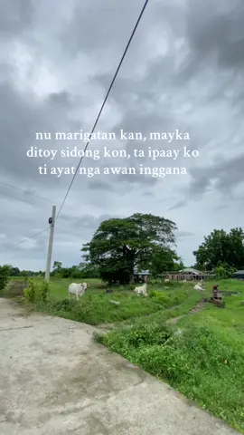 dipay nagsamit biagko🤪#ilocanowords #ilocanoak #ilocosnorte #forypupage 